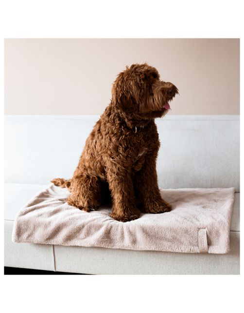 District 70 Nuzzle Blanket 100x70 cm - Hondendeken