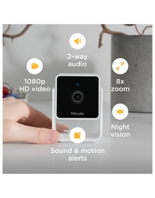 Petcube Pet Camera 1080p Hd Video Night Vision - IP Camera's - Wit