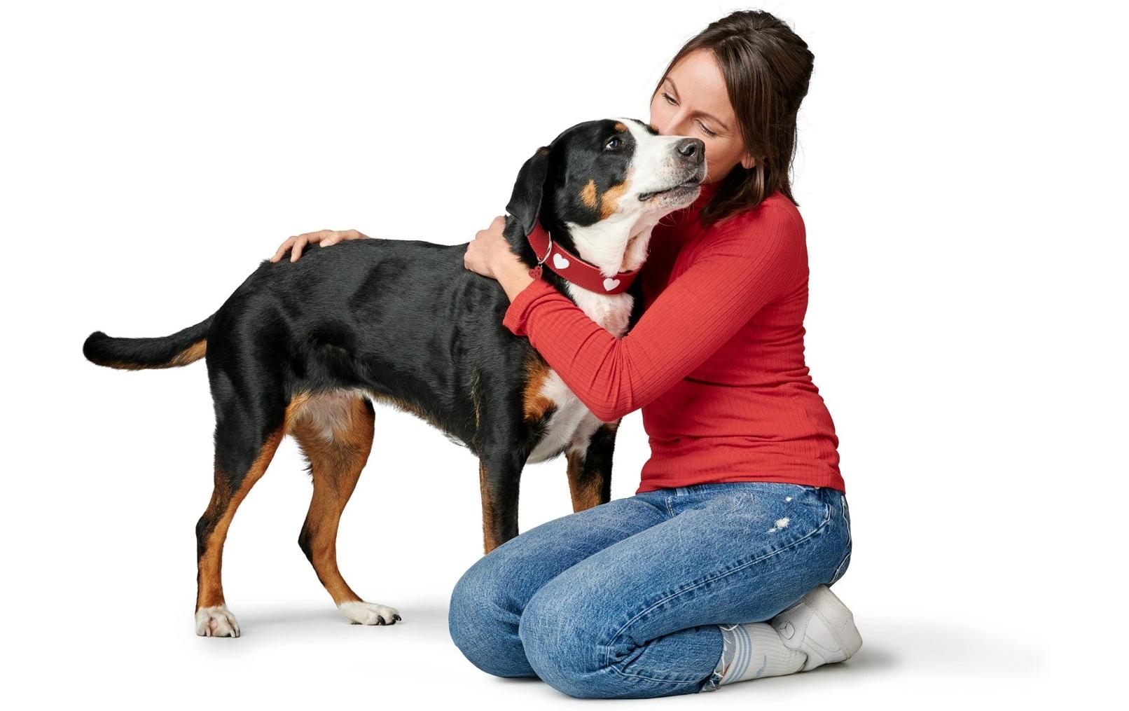 Halsband Love M (55), Rot/SchwarzHundehalsband mit Herz