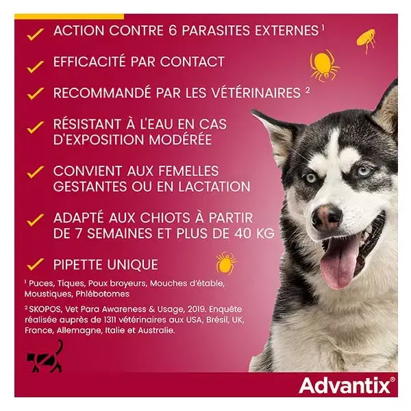 Solução Advantix para o controle de pulgas e parasitas em cães de grande porte (40-60 kg) - 4 pipetas