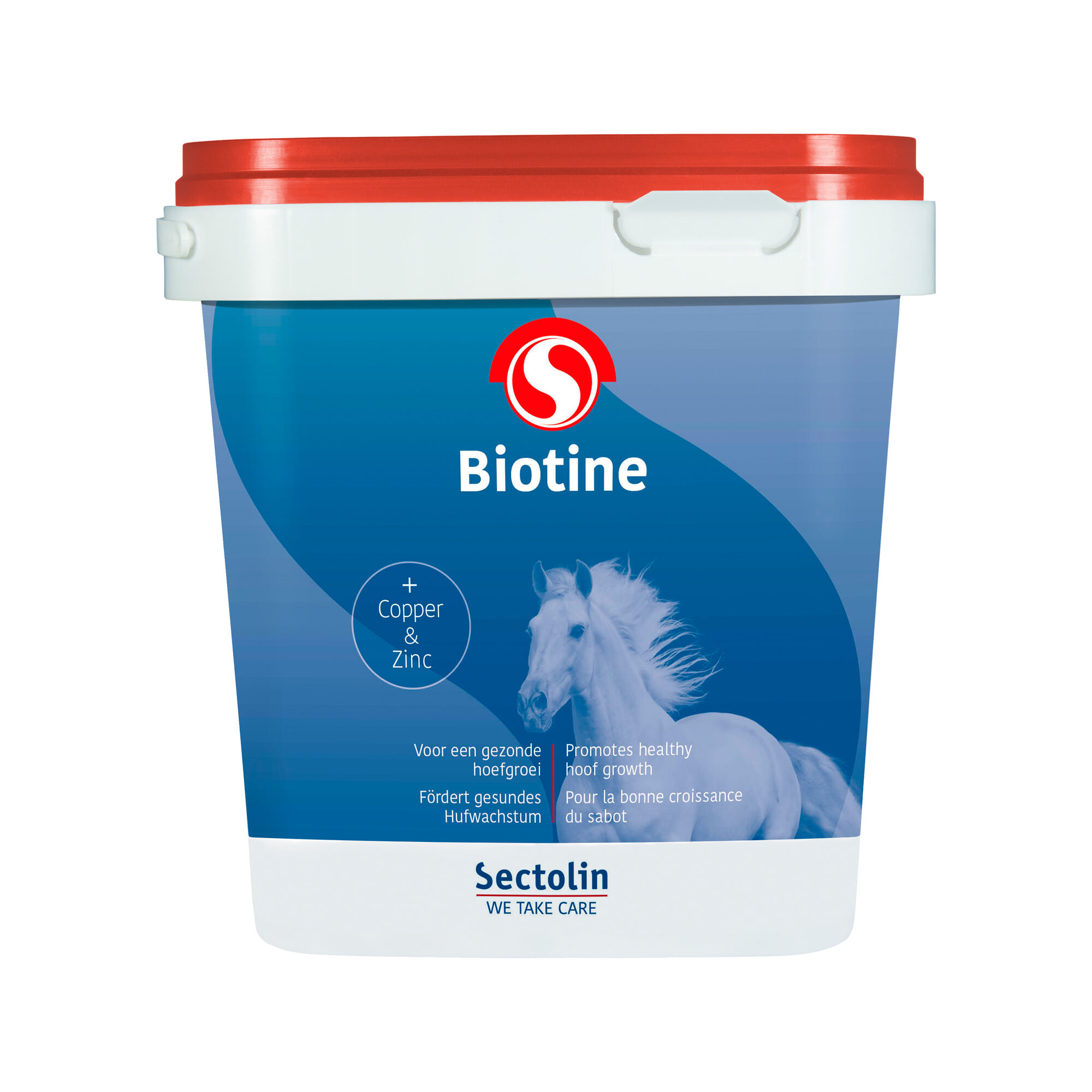 Sectolin Equivital Biotine