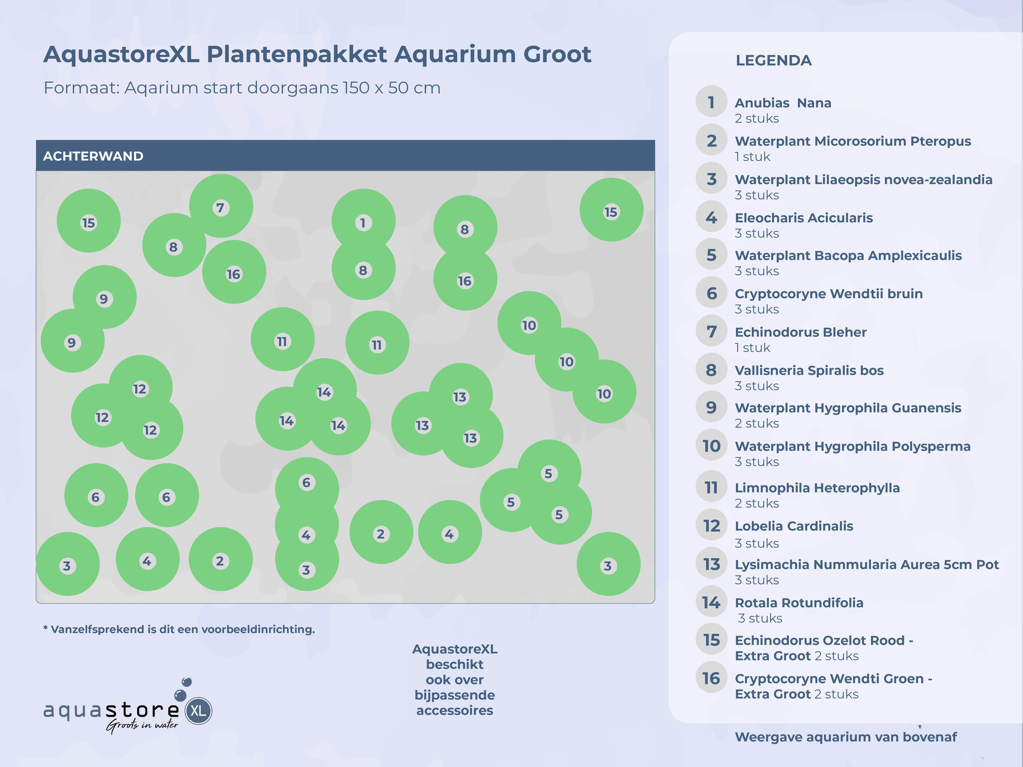 AquastoreXL Plantenpakket Extra Extra Large