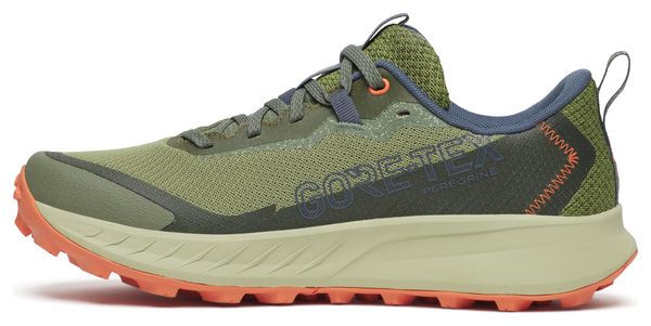 Chaussures Trail Saucony Peregrine 15 GTX Vert/Beige Femme