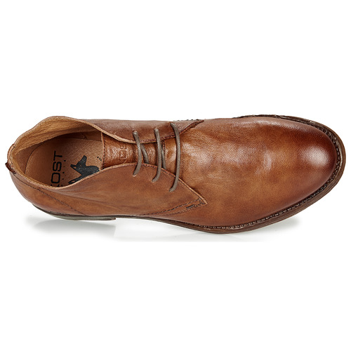 KOST - DANDY 17 - Cognac