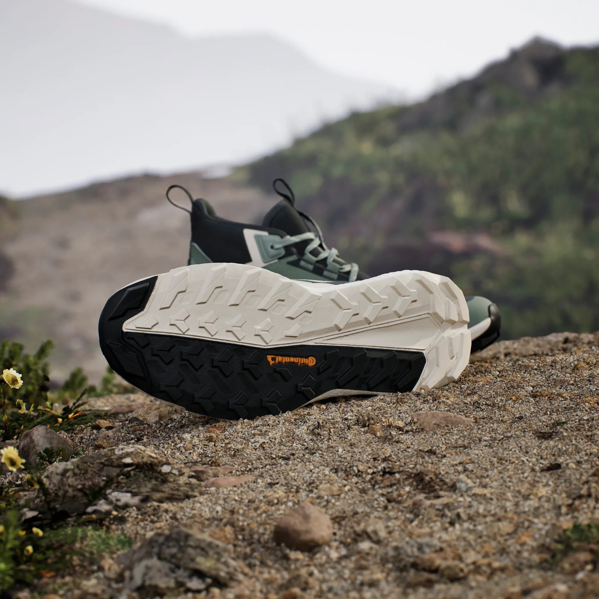 Adidas Terrex Free Hiker 2 Gtx W Silgrn/Lingrn/Gresix Silgrn/lingrn/gresix
