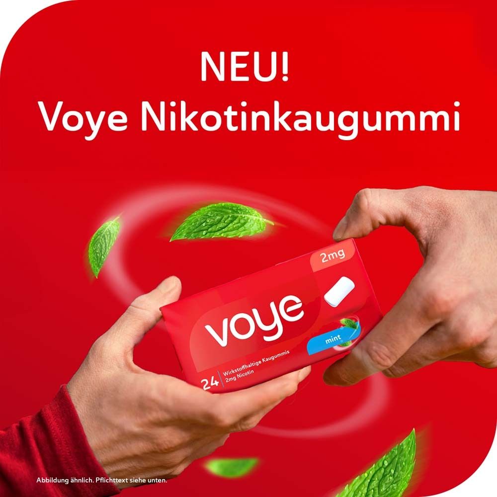 Voye Mint 2mg wirkstoffhaltiges Kaugummi