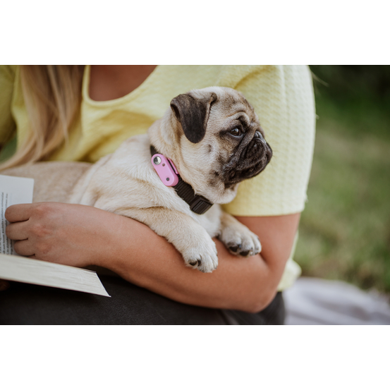 Répulsif rechargeable à ultrasons pour chien Tickless Mini Dog violet