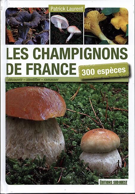 SUD OUEST - LES CHAMPIGNONS DE FRANCE