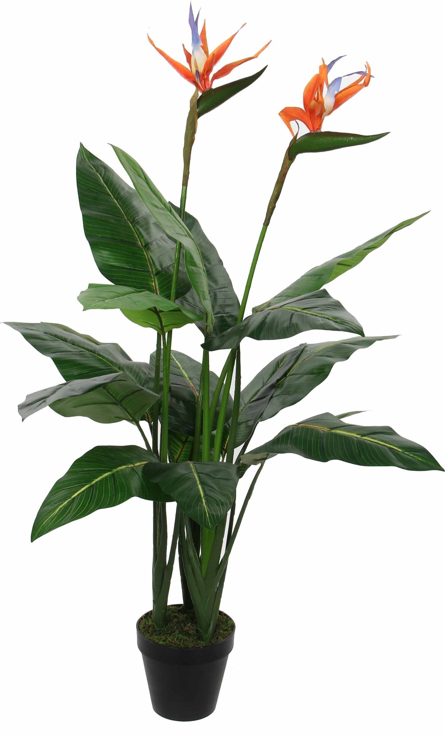 Mica Decorations kunstplant Strelitzia 110 cm