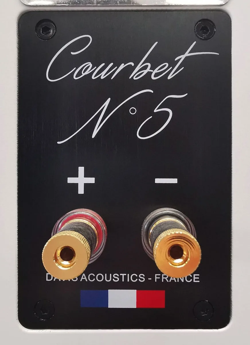 Davis Acoustics Courbet N°5 Blanc Satiné (la paire) Enceintes colonne