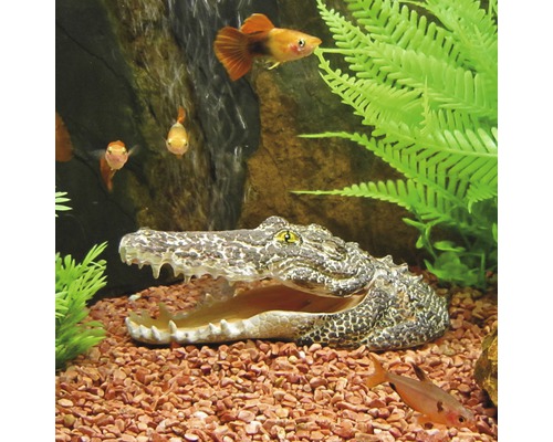 Aquariumdecoratie krokodillenkop met luchtuitlaat
