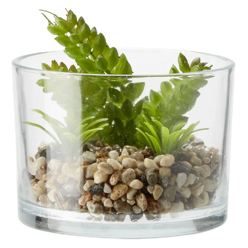 Terrarium plante dans pot en verre avec cailloux Ø13 cm