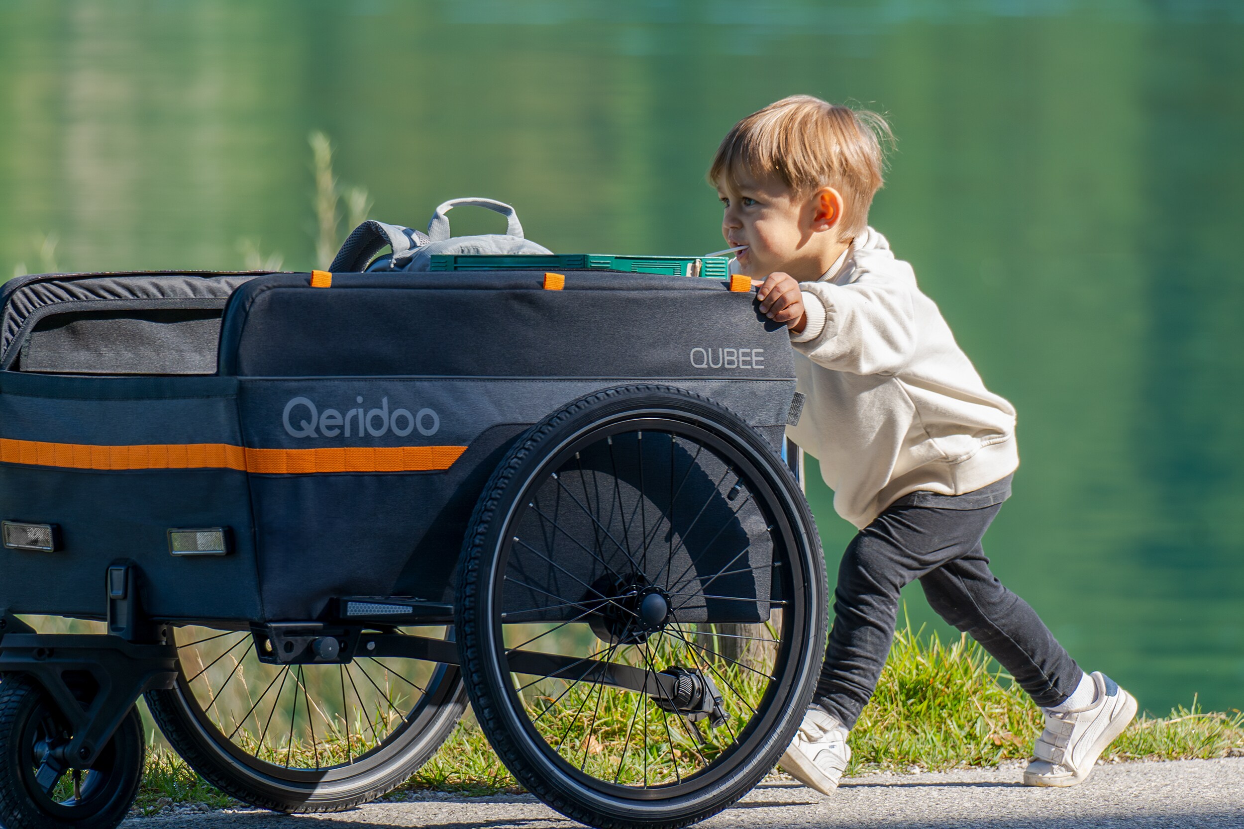 Qeridoo Fahrradanhänger Qubee Grey