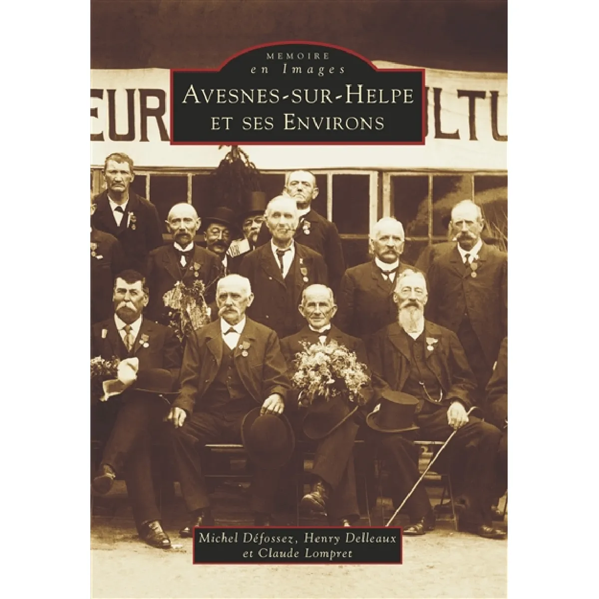 Avesnes-sur-Helpe et ses environs · Occasion