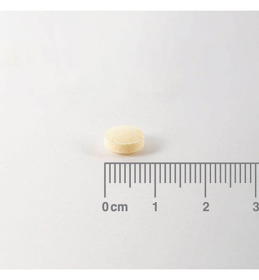 Lamberts Vitamine B11 400mcg (100 tabletten)