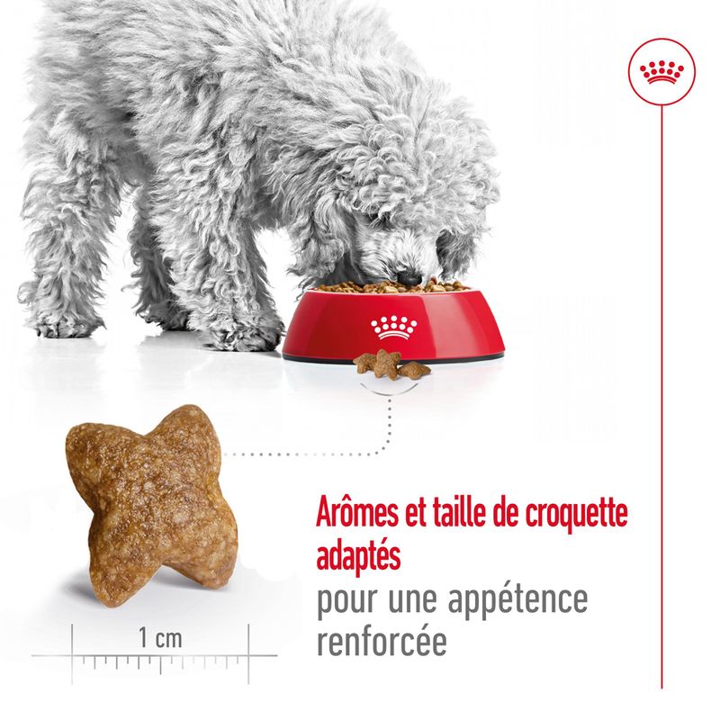 Royal Canin Mini Adult