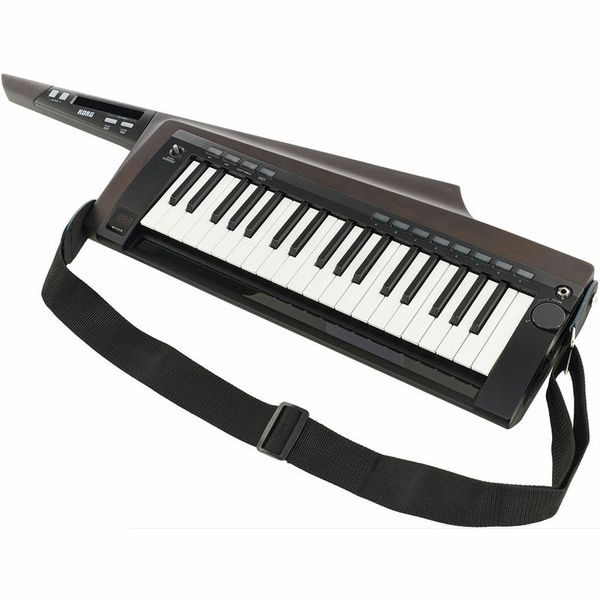Korg RK-100S 2 Black