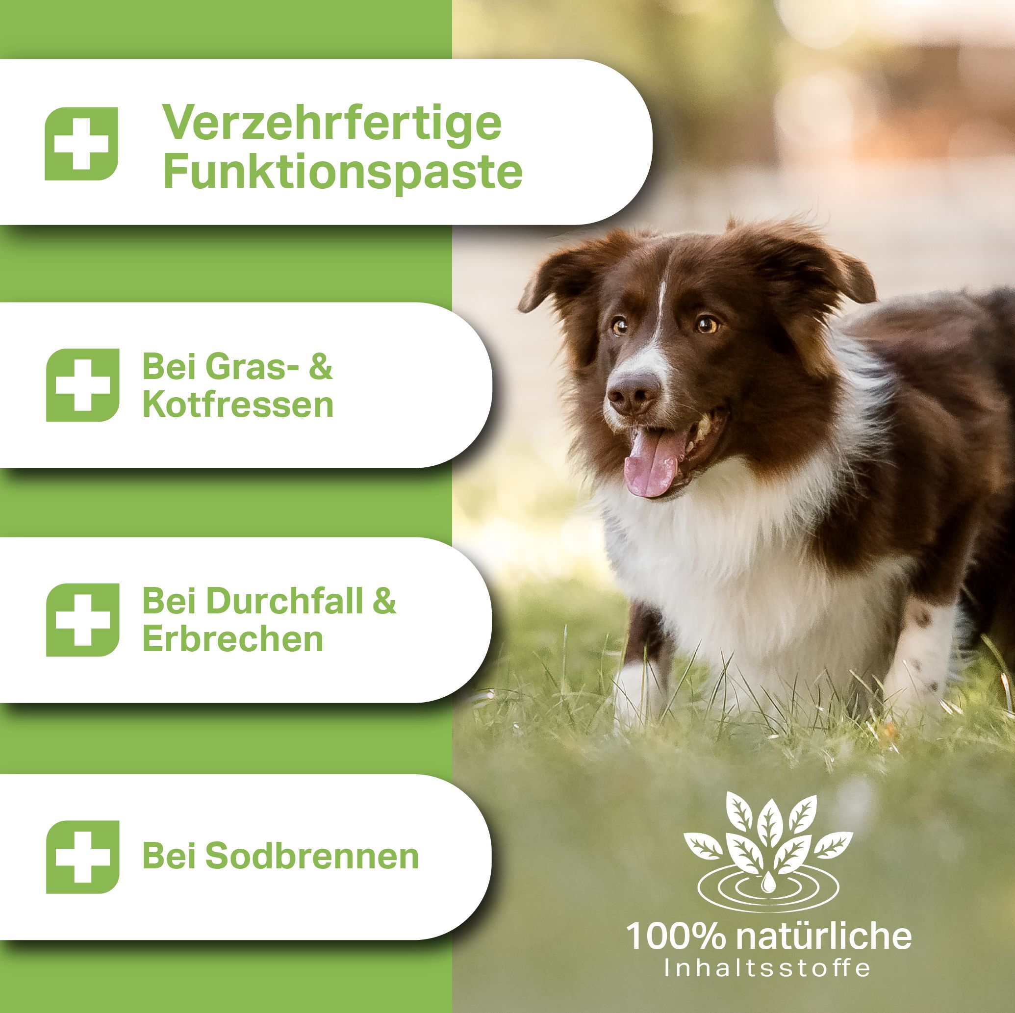 MEDIDOG Ulmenrinde Paste