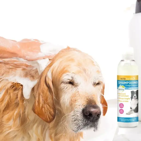 Shampoo Vetoform de Uso Frequente Especial para Cães 200ml
