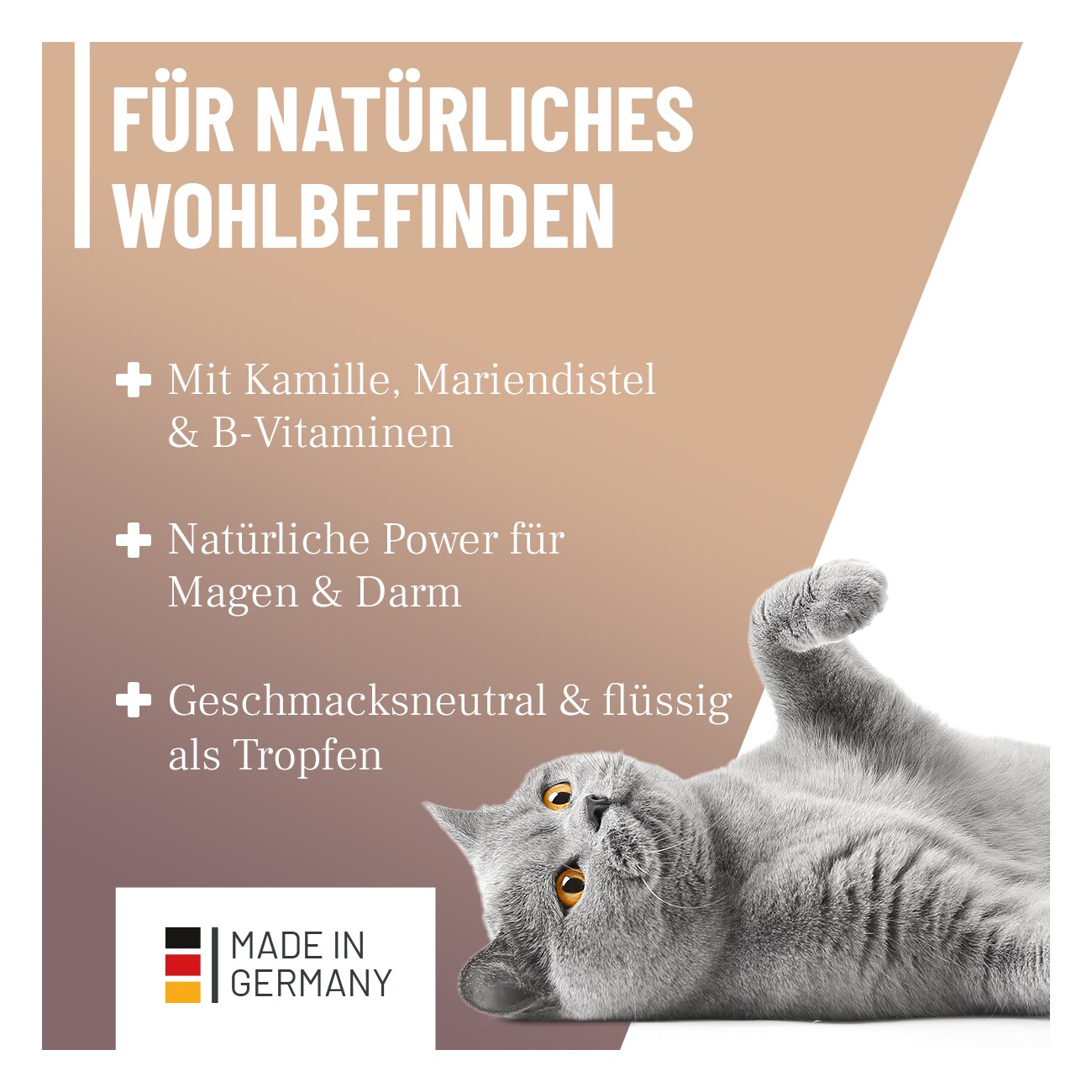 REAVET Magen & Darm Tropfen Katzen 50ml