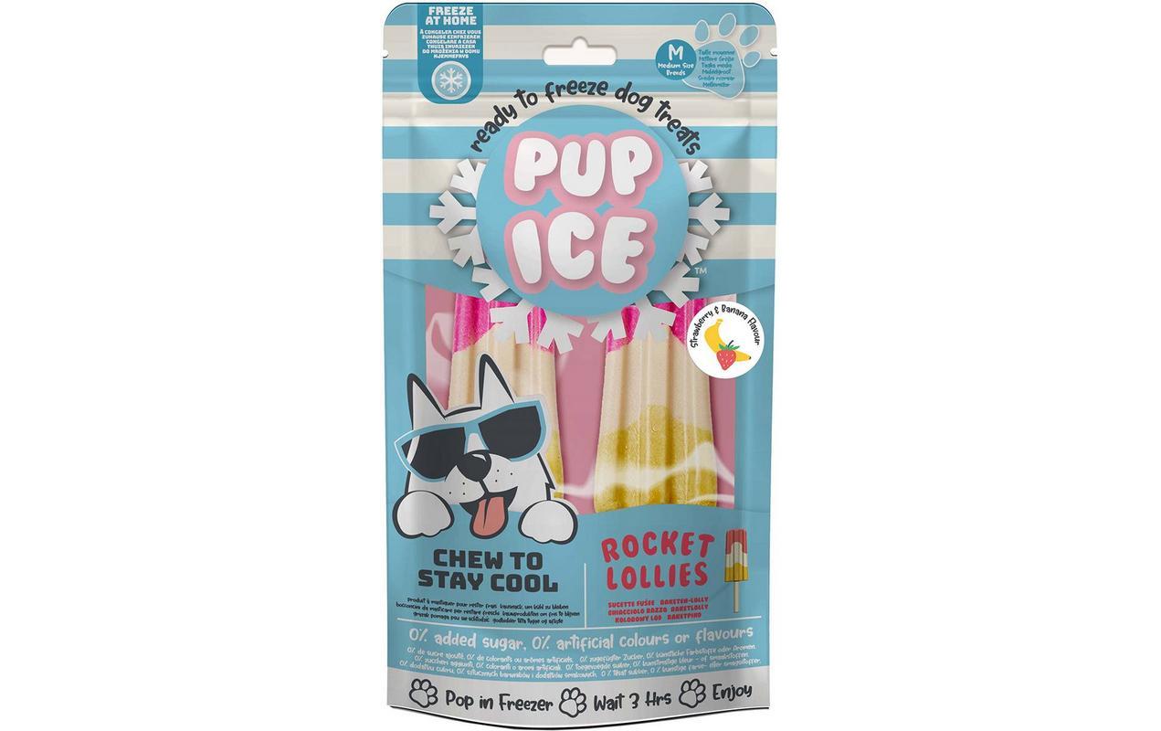 Leckerli Rocket Lollies Erdbeer-Banane, 2 Stück, 90gHunde-Eis für heisse Tage