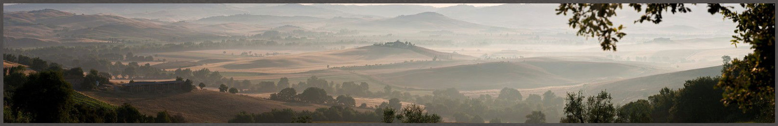 Pienza Coral by Peter Adams - Limited Edition. Edition of: 100. Signed.