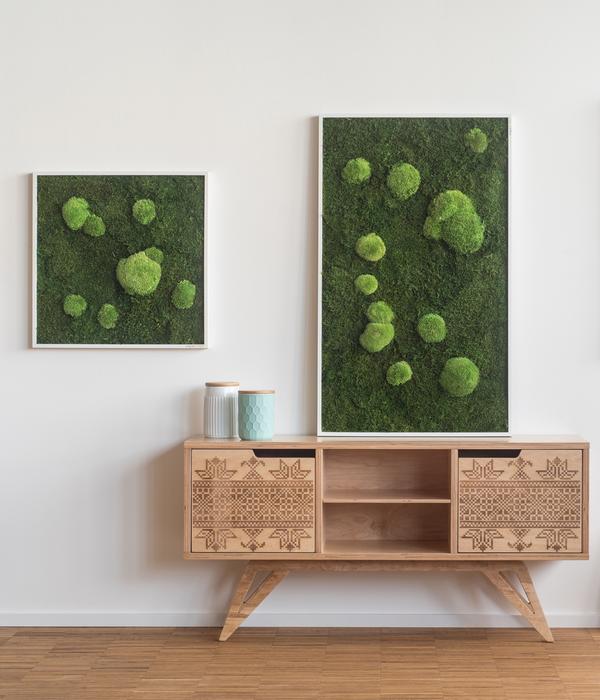 styleGREEN Bild aus Wald- und Kugelmoos,
