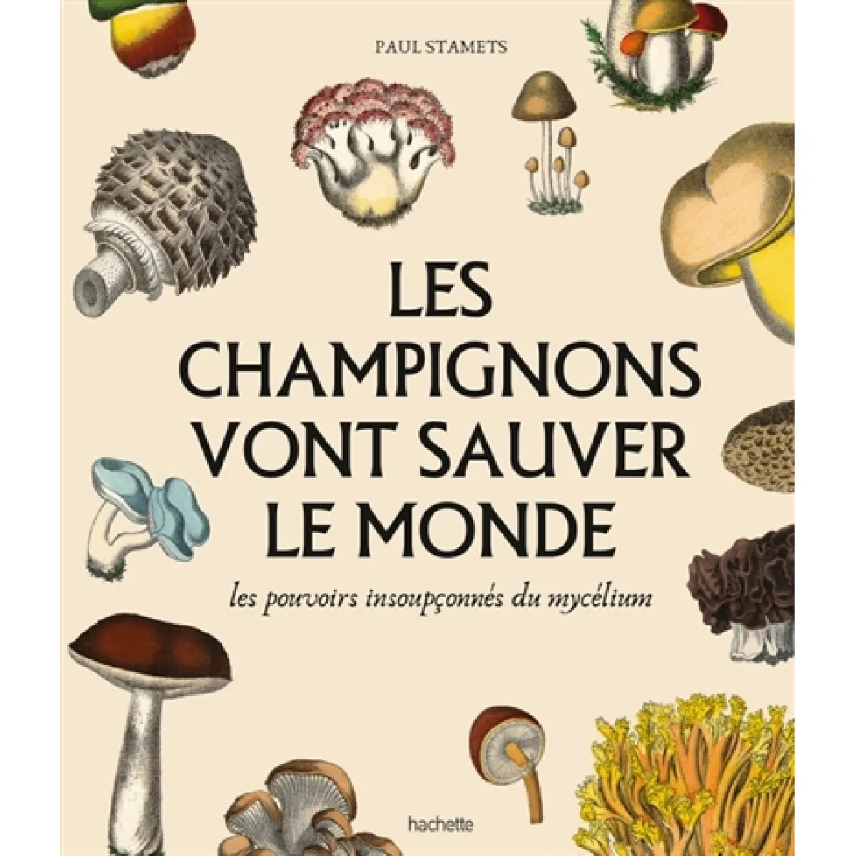 Les champignons vont sauver le monde : les pouvoirs insoupçonnés du mycélium