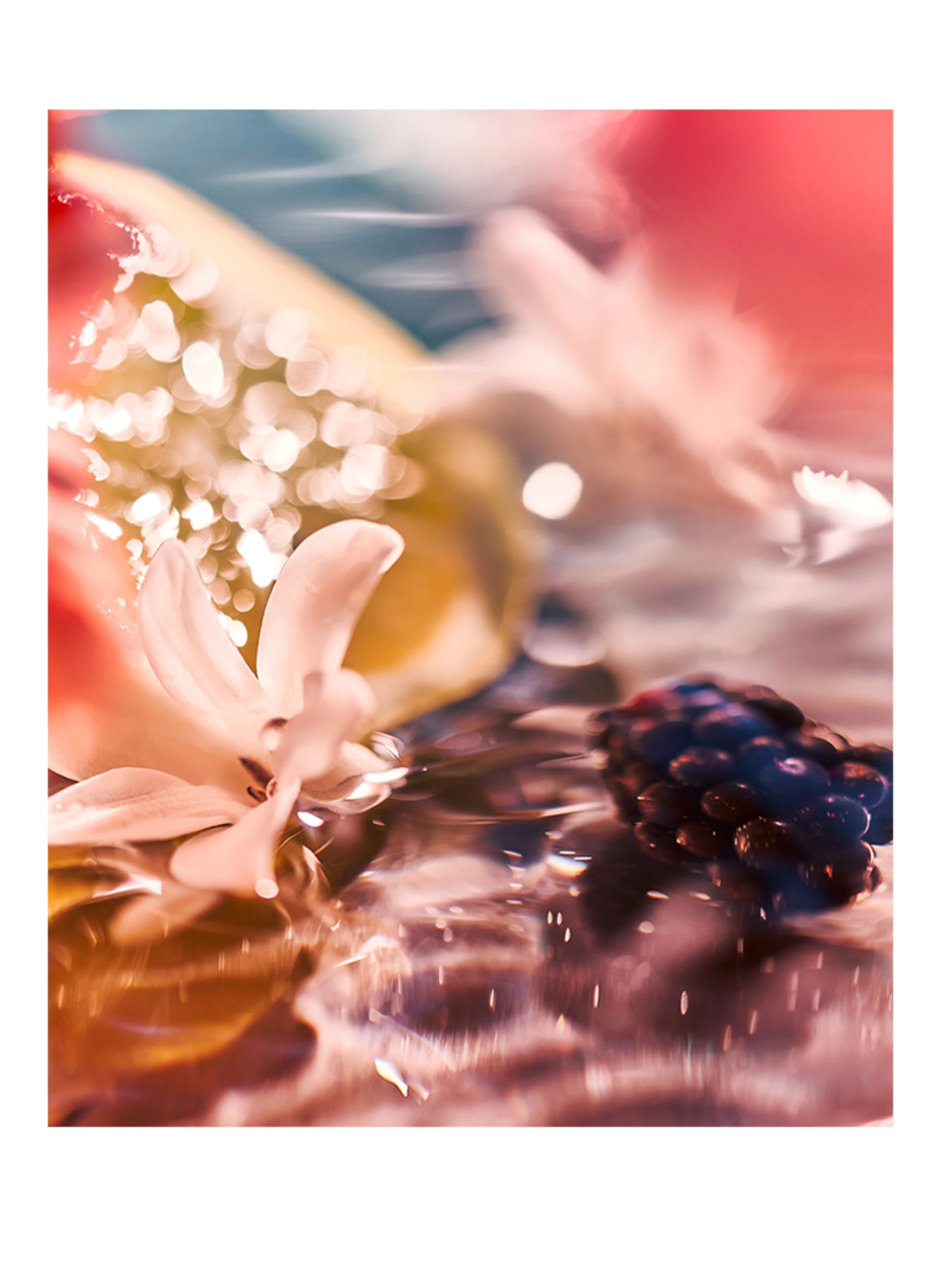 ROJA PARFUMS ELYSIUM POUR FEMME