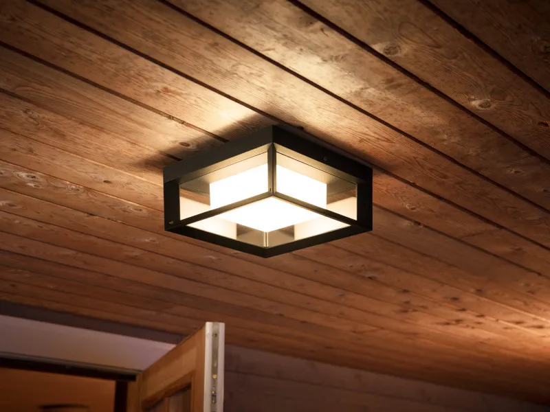 Philips Hue White Color Ambiance Econic Udendørs Væg/lofslampe