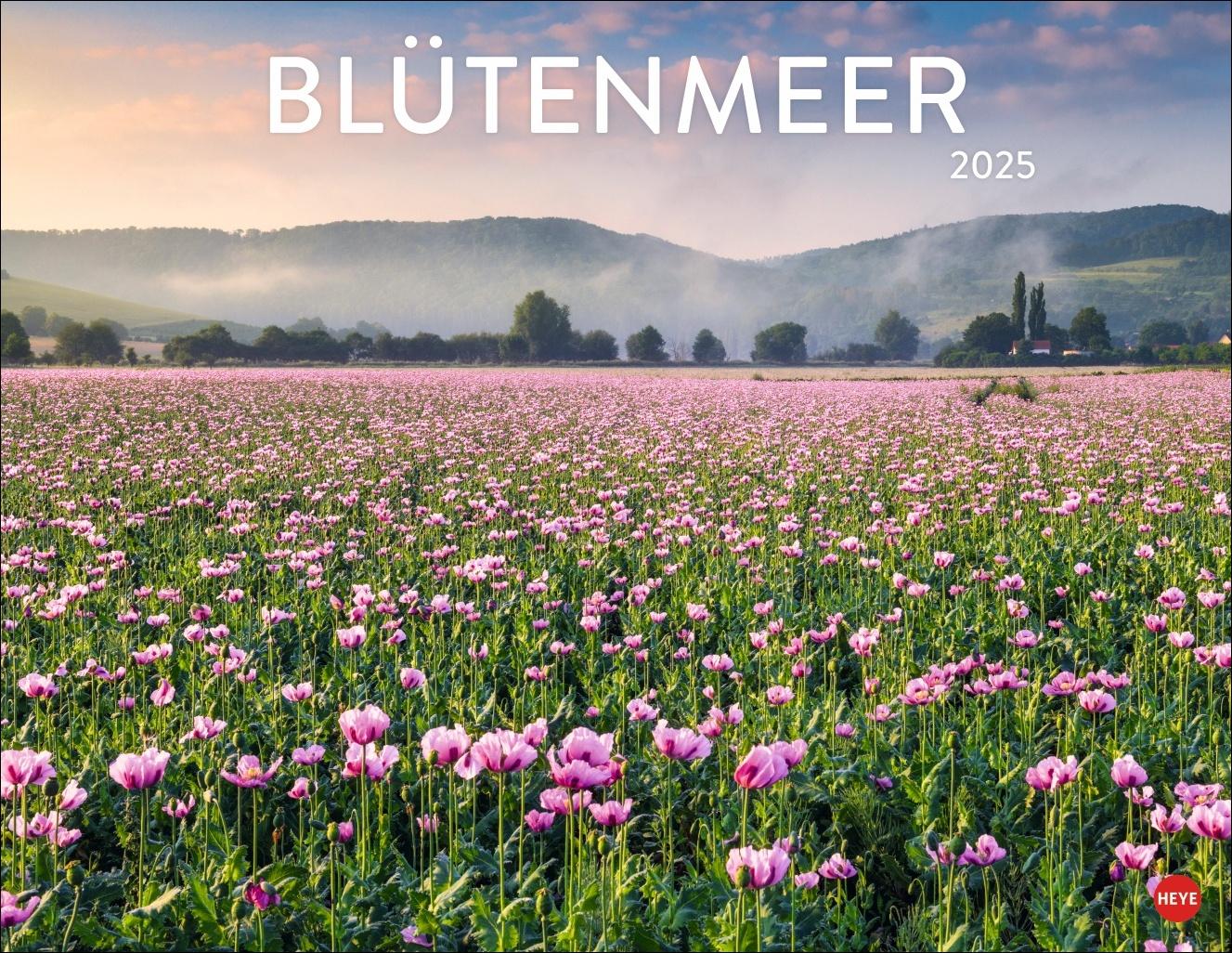 Bloemenzee Posterkalender 2025: Wandkalender met 12 prachtige landschapsfoto's. Decoratieve jaarkalender met weelderige bloemenweiden. 44 x 34 cm. Liggend formaat.