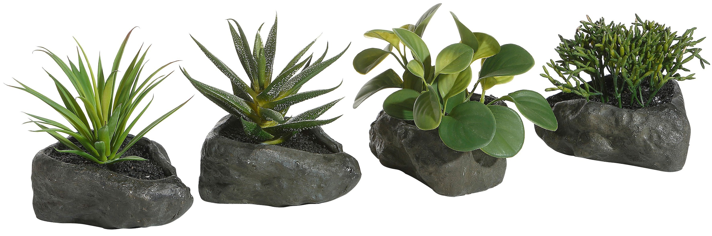 Home affaire Kunstpflanze »Sukkulenten« 4er Set
