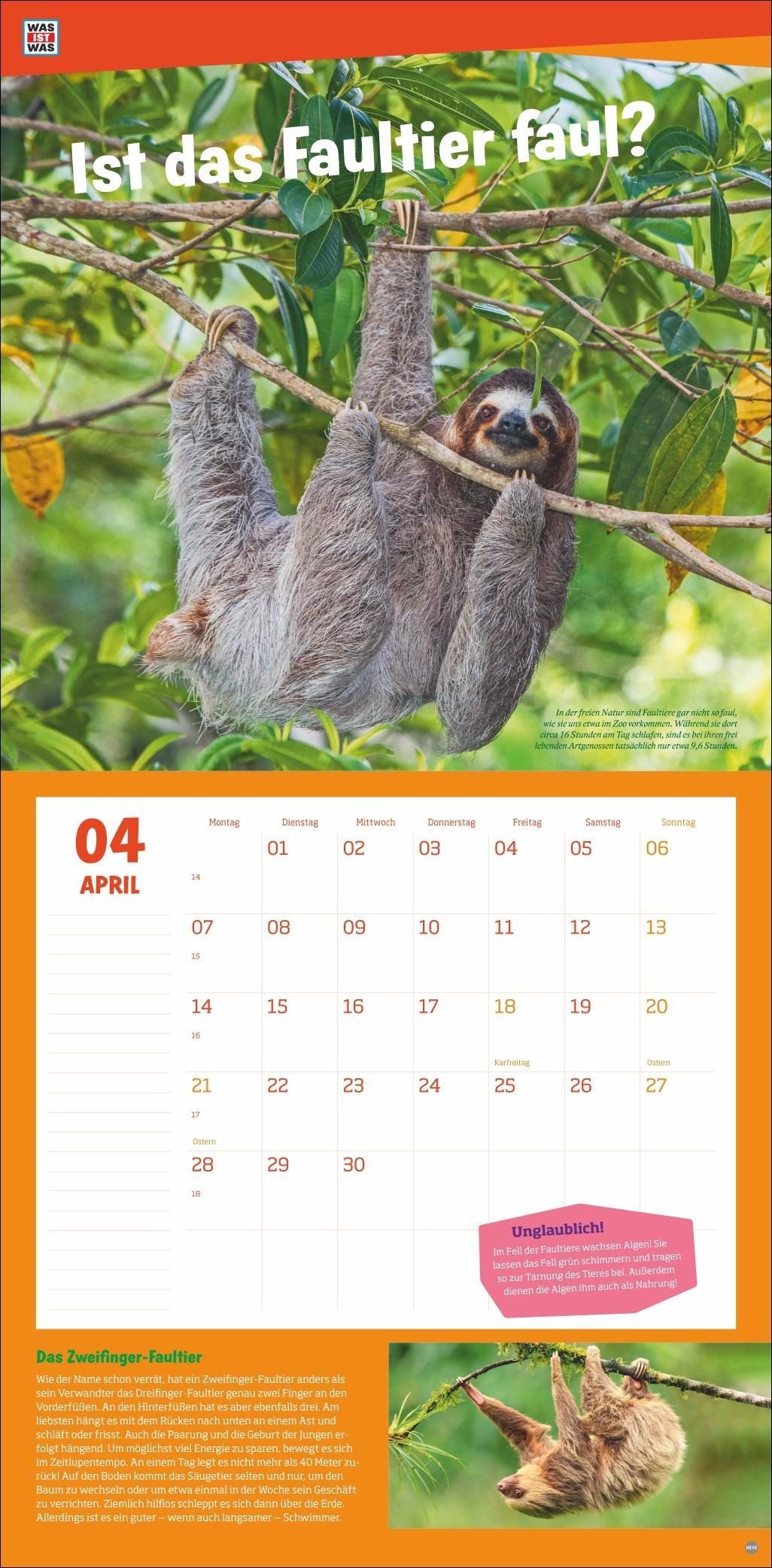 WAS IST WAS Tierwelt Broschurkalender 2025