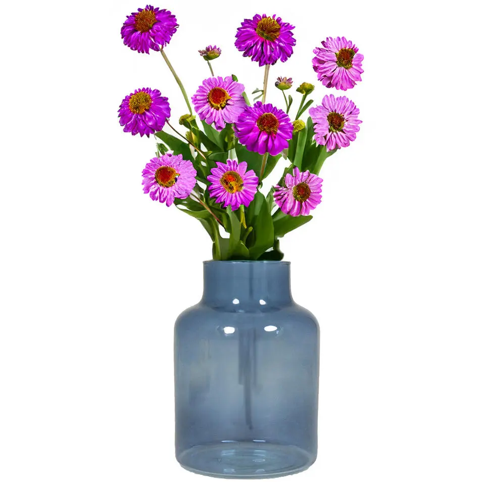 Bela Arte Bloemenvaas Milan - transparant blauw glas - H20 cm - melkbus