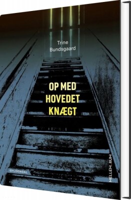 Mellem_Rum. Op Med Hovedet Knægt - Trine Bundsgaard - Bog