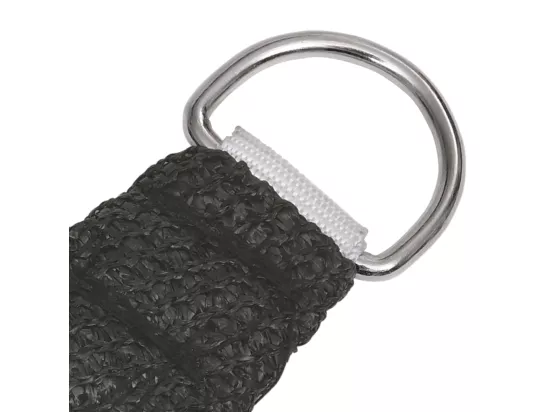 Voile d'ombrage 160 g/m² Anthracite 5x6 m PEHD
