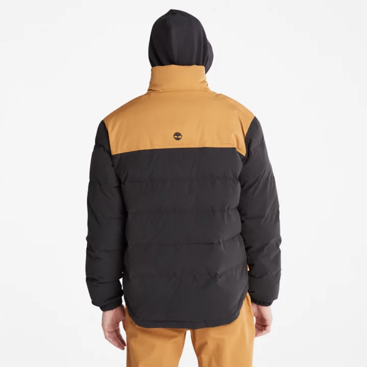 Jaqueta puffer Welch Mountain masculina na cor preta.