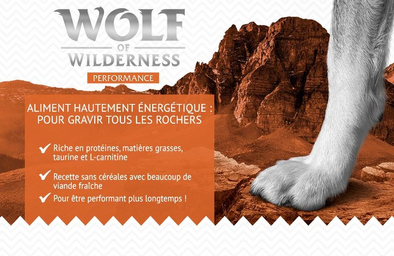 Wolf of Wilderness Explore The Mighty Summit Performance pour chien