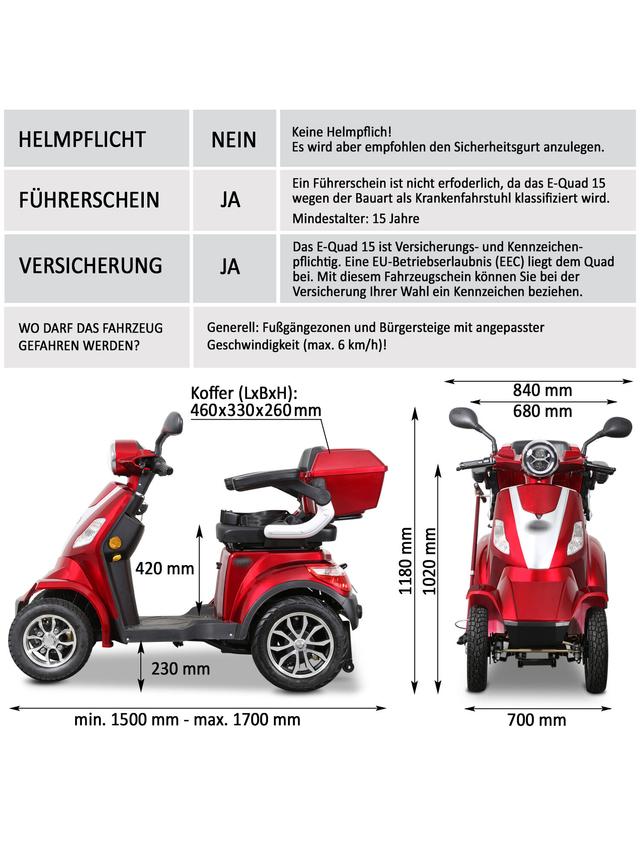 Elektroroller Theo 25 mit BG Akku