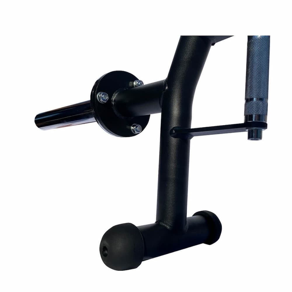SVELTUS Ergonomic Trap Barre