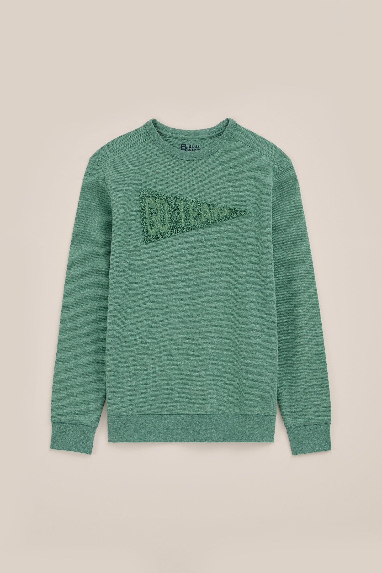 Jongens T-shirt met embroidery Blue Ridge Lichtgroen