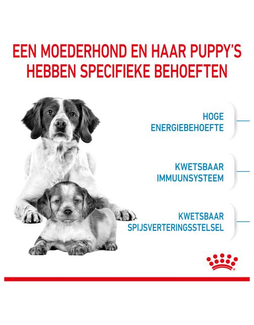 Royal Canin Medium Starter Mother & Babydog - Puppy-Hondenvoer