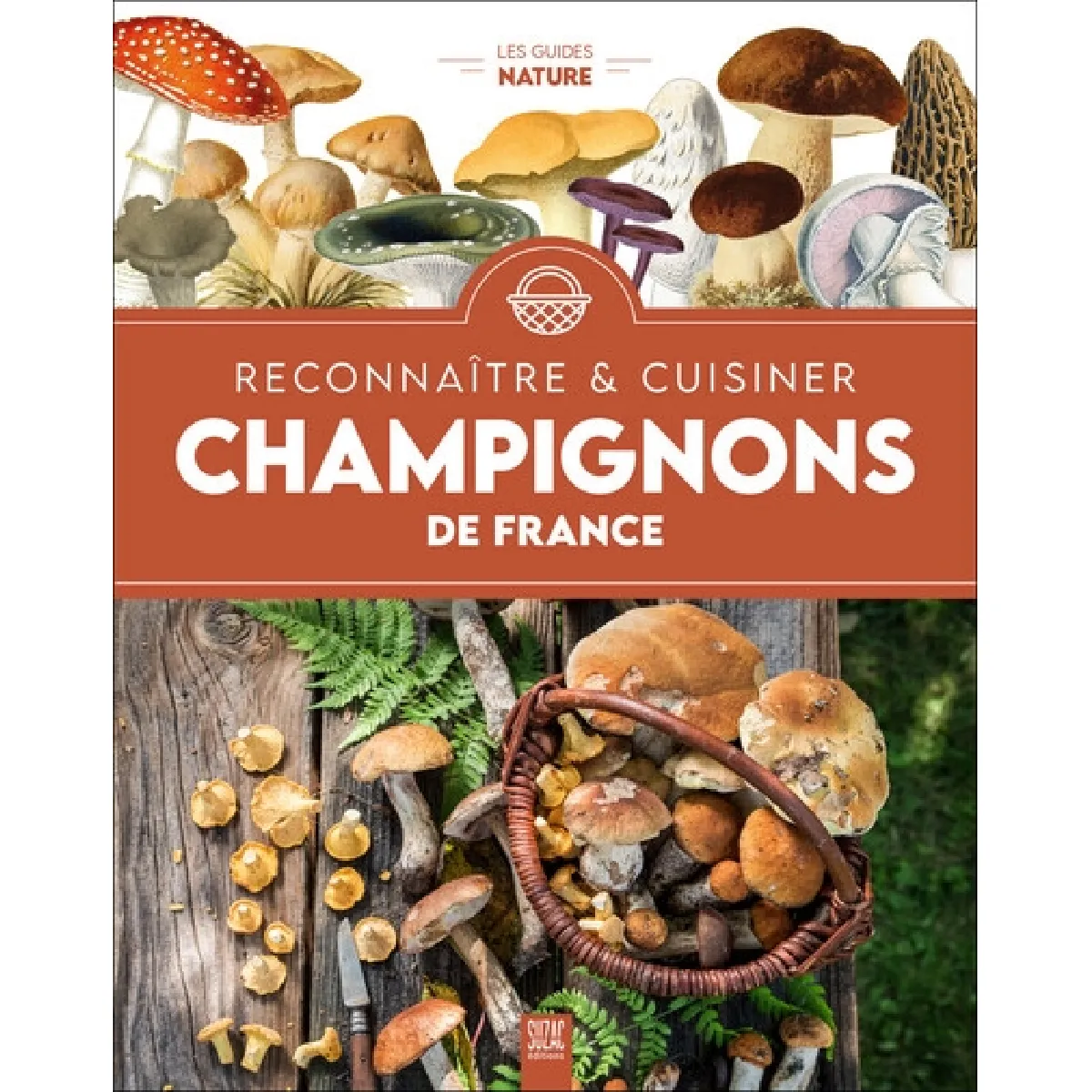 Reconnaître & cuisiner : champignons de France