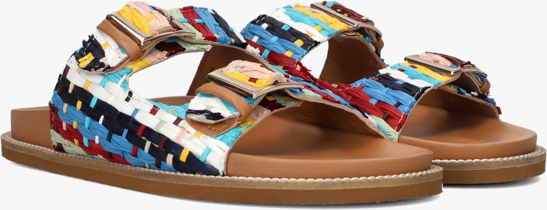 multi toral slippers tupai