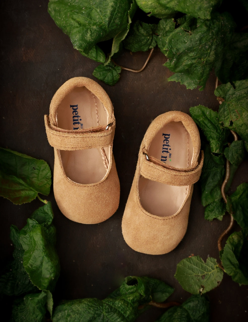 Ballerina Shoe with Velcro - Sahara Suede