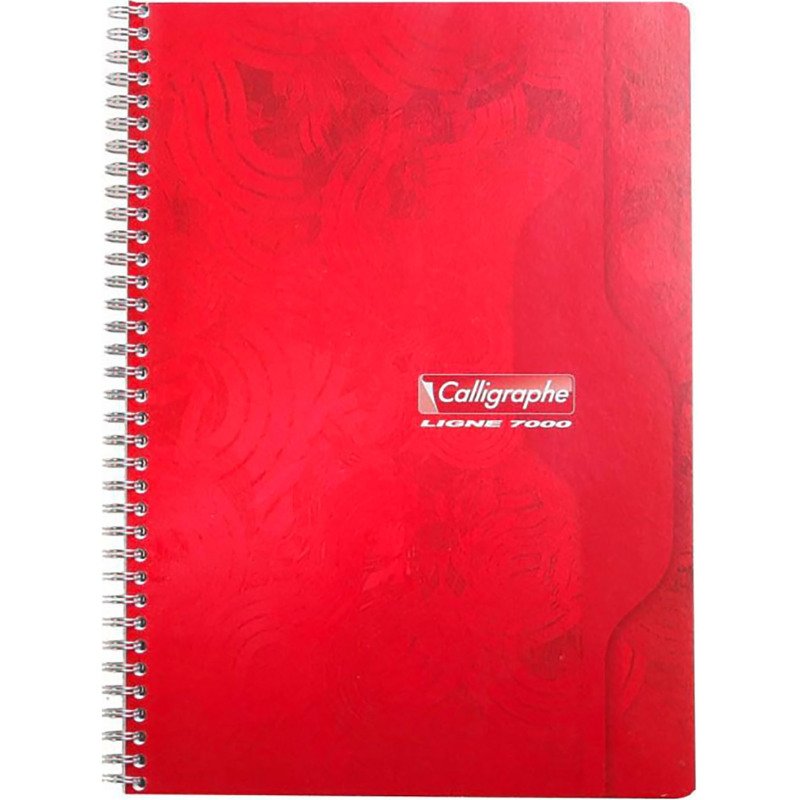 Cahier spirale Calligraphe A4 21 x 29,7 cm petits carreaux 100 pages