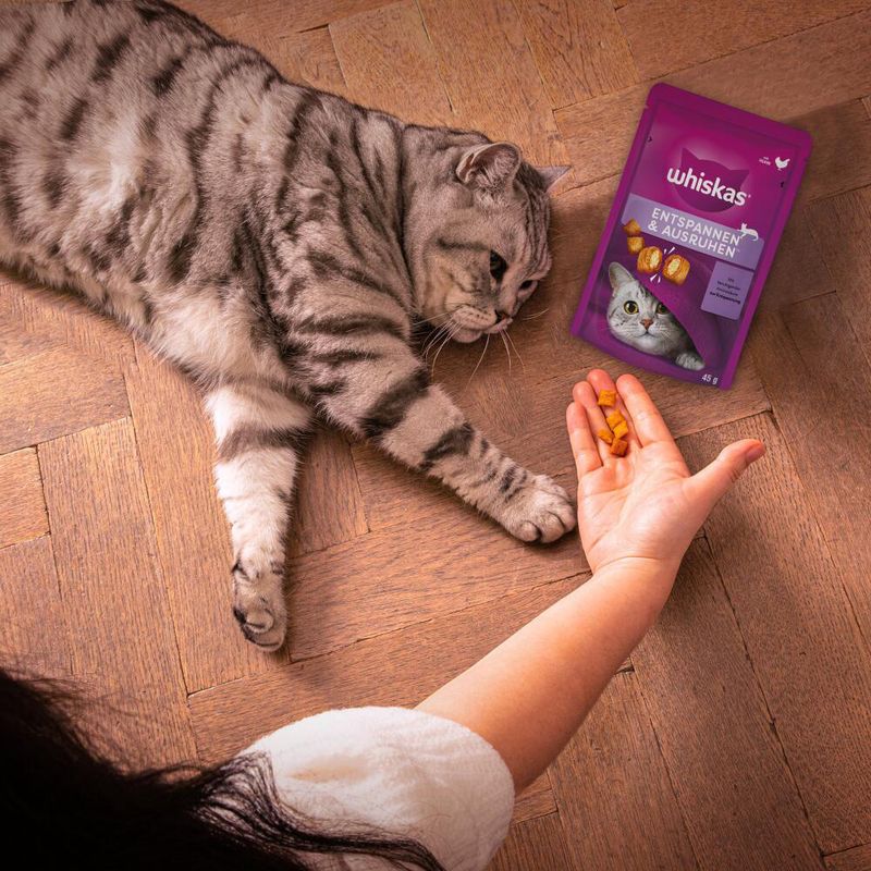 Whiskas Détente et Relaxation pour chat