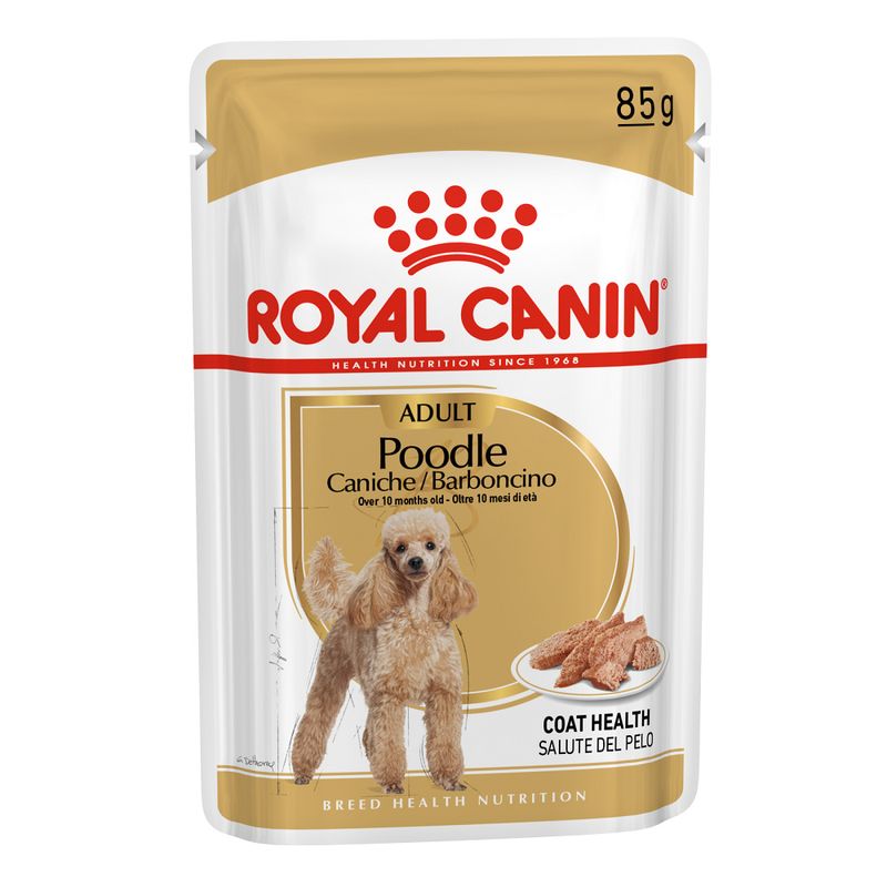 Royal Canin Caniche Adult