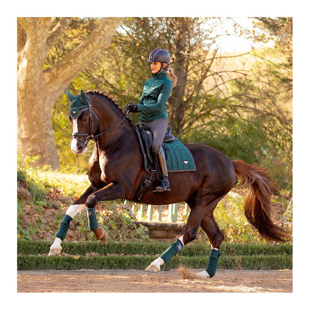 Le Mieux LOIRE - Bandes de polo x4 spruce