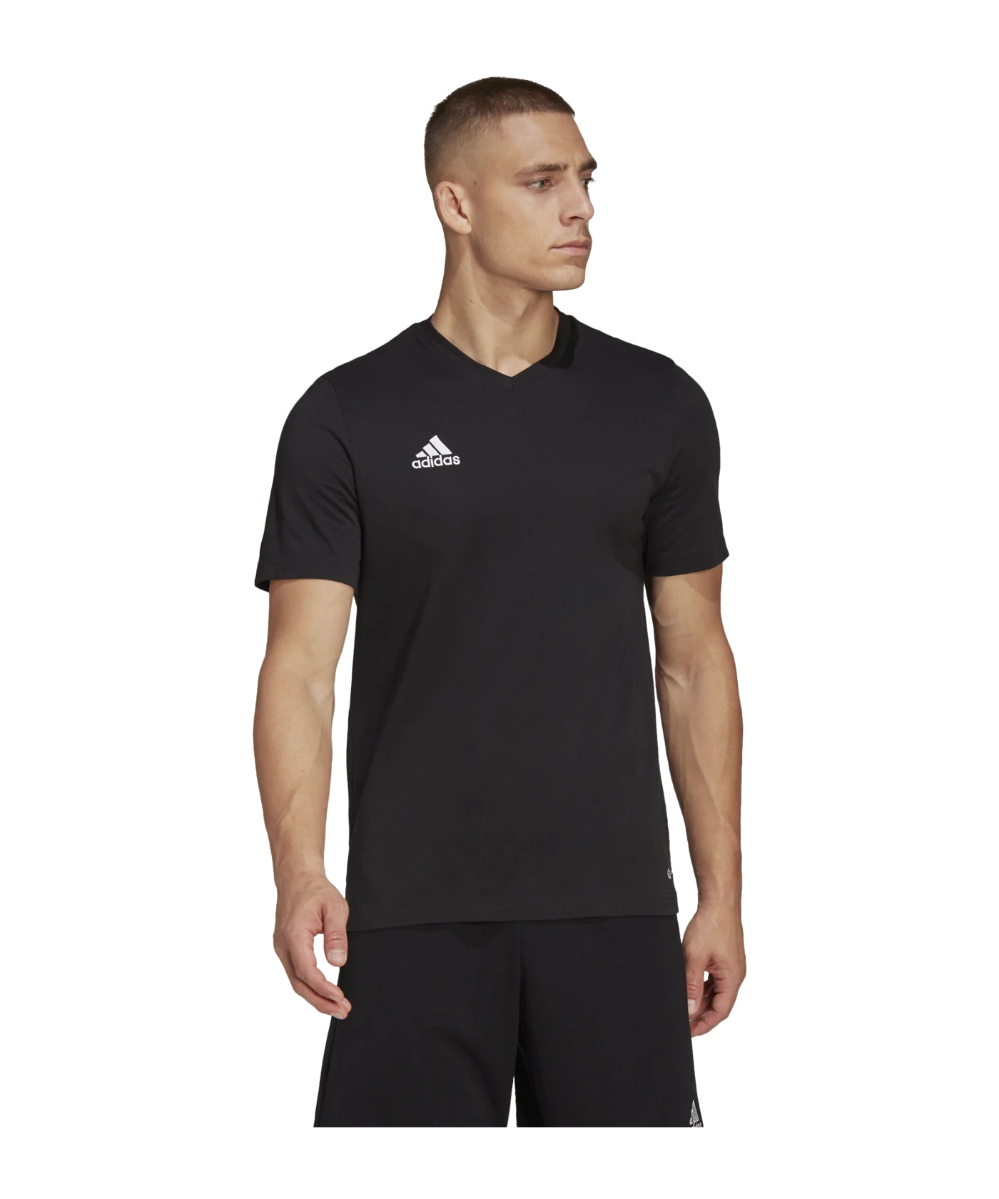 adidas Entrada 22 T-Shirt Schwarz
